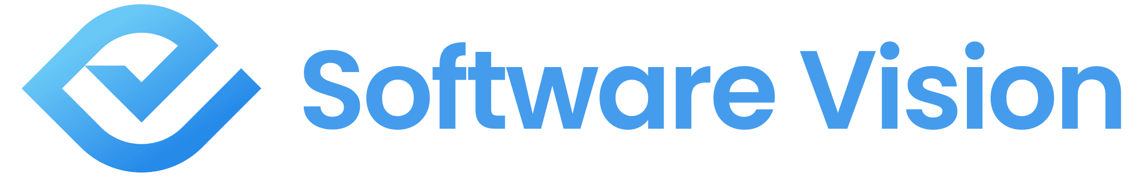 Software Vision